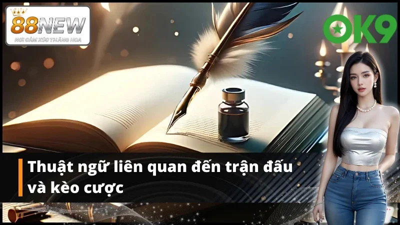 Tổng hợp một số thuật ngữ quan trọng tại sảnh thể thao OK9